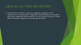 ¿QUÉ ES LA VIDA SILVESTRE?
 Vida silvestre se refiere a todos los vegetales, animales y otros
organismos no domesticados. Organismos domesticados son aquellos
que fueron adaptados para sobrevivir con la ayuda de (o bajo el control
de) los humanos, después de muchas generaciones.
 