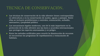 TECNICA DE CONSERVACIÓN.
 Las técnicas de conservación de la vida silvestre tienen contrapartidas
en silvicultura y en la conservación de suelos, aguas y paisajes. Entre
ellas se incluyen prohibiciones y controles, restauración, subsidio,
santuarios y propiedad pública.
 Los mecanismos legales modernos, uno de lo más importante en la
protección de la vida silvestre son las leyes y acuerdos internacionales
que protegen las especies amenazadas y en peligro.
 Entre los métodos artificiales para revertir la disminución de recursos
se encuentran los programas de repoblamiento y restauración de
hábitats.
 