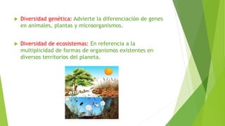  Diversidad genética: Advierte la diferenciación de genes
en animales, plantas y microorganismos.
 Diversidad de ecosistemas: En referencia a la
multiplicidad de formas de organismos existentes en
diversos territorios del planeta.
 