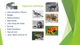 Especies extintas
 Lobo marsupial o Tilacino
 Quagga
 Paloma pasajera
 Sapo dorado
 Foca monje del caribe
 Bucardo
 Bubal Hartebeest
 Tigre de Java
 Baiji o Delfín chino de río
 