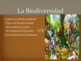 •¿Qué es la Biodiversidad?
•Tipos de Biodiversidad
‒Diversidad Genética
‒Diversidad de Especies
‒Diversidad de Ecosistemas
 