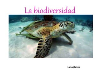 La biodiversidad
Luisa Quiroz
 