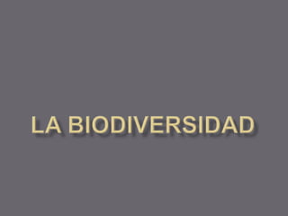 La biodiversidad 