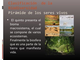 Clasificación de la
Biodiversidad
Pirámide de los seres vivos
 El quinto presenta el
  bioma                o
  macrosistema, el cual
  se compone de varios
  ecosistemas.
  Finalmente la biosfera
  que es una parte de la
  tierra que manifiesta
  vida.
 