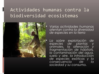 Actividades humanas contra la
biodiversidad ecosistemas

              Varias actividades humanas
               atentan contra la diversidad
               de especies en la tierra

              La  sobre explotación de
               especies de plantas y
               animales, la alteración y
               fragmentación de hábitats,
               la contaminación del agua,
               suelo y aire, la introducción
               de especies exóticas y la
               consecuencia         de     la
               sociedad y su consumo.
 