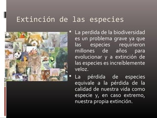 Extinción de las especies
             La perdida de la biodiversidad
              es un problema grave ya que
              las    especies     requirieron
              millones de años para
              evolucionar y a extinción de
              las especies es increíblemente
              veloz.
             La pérdida de especies
              equivale a la pérdida de la
              calidad de nuestra vida como
              especie y, en caso extremo,
              nuestra propia extinción.
 