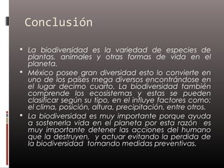 Conclusión

 La biodiversidad es la variedad de especies de
  plantas, animales y otras formas de vida en el
  planeta.
 México posee gran diversidad esto lo convierte en
  uno de los países mega diversos encontrándose en
  el lugar decimo cuarto. La biodiversidad también
  comprende los ecosistemas y estas se pueden
  clasificar según su tipo, en el influye factores como:
  el clima, posición, altura, precipitación, entre otros.
 La biodiversidad es muy importante porque ayuda
  a sostenerla vida en el planeta por esta razón es
  muy importante detener las acciones del humano
  que la destruyen, y actuar evitando la perdida de
  la biodiversidad tomando medidas preventivas.
 