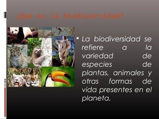 ¿Qué es la biodiversidad?

              La biodiversidad se
               refiere    a      la
               variedad         de
               especies         de
               plantas, animales y
               otras formas de
               vida presentes en el
               planeta.
 