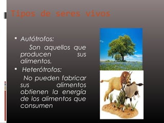 Tipos de seres vivos

 Autótrofos:
     Son aquellos que
  producen          sus
  alimentos.
 Heterótrofos:
   No pueden fabricar
  sus        alimentos
  obtienen la energía
  de los alimentos que
  consumen
 