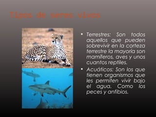  Terrestres:  Son todos
  aquellos que pueden
  sobrevivir en la corteza
  terrestre la mayoría son
  mamíferos, aves y unos
  cuantos reptiles.
 Acuáticos: Son los que
  tienen organismos que
  les permiten vivir bajo
  el agua. Como los
  peces y anfibios.
 