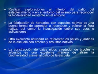• Realizar exploraciones al interior del patio del
establecimiento y en el entorno del mismo para reconocer
la biodiversidad existente en el entorno.
• La fabricación de herbarios con especies nativas es una
buena forma de aprender a reconocer y valorar la flora
nativa, así como la investigación sobre sus usos o
aplicaciones.
• Otra excelente actividad es reforestar los patios y jardines
de la escuela con árboles y arbustos nativos.
• La construcción de cajas nidos alrededor de árboles y
arbustos es una excelente manera de atraer la
biodiversidad animal al patio de la escuela
 