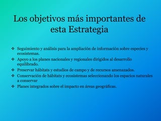 Los objetivos más importantes de
          esta Estrategia
 Seguimiento y análisis para la ampliación de información sobre especies y
  ecosistemas.
 Apoyo a los planes nacionales y regionales dirigidos al desarrollo
  equilibrado.
 Preservar hábitats y estudios de campo y de recursos amenazados.
 Conservación de hábitats y ecosistemas seleccionando los espacios naturales
  a conservar
 Planes integrados sobre el impacto en áreas geográficas.
 