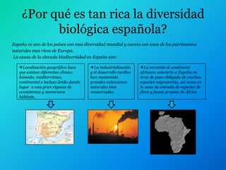¿Por qué es tan rica la diversidad
          biológica española?
España es uno de los países con mas diversidad mundial y cuenta con unos de los patrimonios
naturales mas ricos de Europa.
La causa de la elevada biodiversidad en España son:

   Localización geográfica hace       La industrialización     La cercanía al continente
   que existan diferentes climas:      y el desarrollo tardíos   africano convierte a España en
   húmedo, mediterráneo,               han mantenido             área de paso obligado de muchas
   continental e incluso árido dando   grandes extensiones       especies migratorias, así como en
   lugar a una gran riqueza de         naturales bien            la zona de entrada de especies de
   ecosistemas y numerosos             conservadas.              flora y fauna propias de África
   hábitats.
 