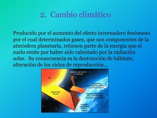 2. Cambio climático

Producido por el aumento del efecto invernadero fenómeno
por el cual determinados gases, que son componentes de la
atmósfera planetaria, retienen parte de la energía que el
suelo emite por haber sido calentado por la radiación
solar. Su consecuencia es la destrucción de hábitats,
alteración de los ciclos de reproducción…
 
