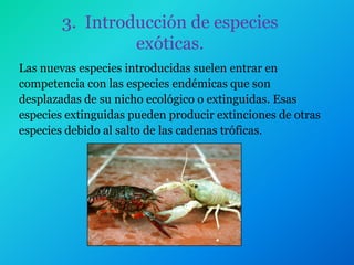 3. Introducción de especies
                 exóticas.
Las nuevas especies introducidas suelen entrar en
competencia con las especies endémicas que son
desplazadas de su nicho ecológico o extinguidas. Esas
especies extinguidas pueden producir extinciones de otras
especies debido al salto de las cadenas tróficas.
 