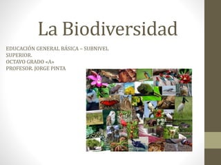 La Biodiversidad
EDUCACIÓN GENERAL BÁSICA – SUBNIVEL
SUPERIOR.
OCTAVO GRADO «A»
PROFESOR. JORGE PINTA
 