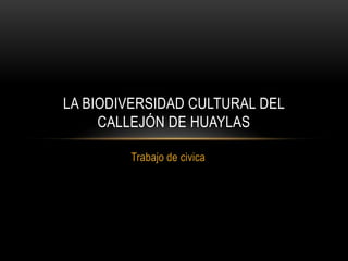 Trabajo de civica La biodiversidad cultural del callejón de Huaylas 