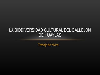 Trabajo de civica LA BIODIVERSIDAD CULTURAL DEL CALLEJÓN DE HUAYLAS 