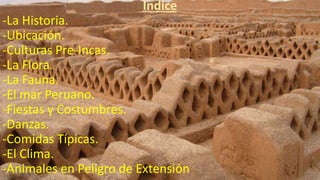 Índice
-La Historia.
-Ubicación.
-Culturas Pre-Incas.
-La Flora.
-La Fauna.
-El mar Peruano.
-Fiestas y Costumbres.
-Danzas.
-Comidas Típicas.
-El Clima.
-Animales en Peligro de Extensión
 