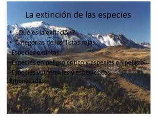 La extinción de las especies
• ¿Qué es la extinción?
• Categorías de las listas rojas.
-Especies extintas.
-Especies en peligro crítico y especies en peligro.
-Especies vulnerables y especies casi
amenazadas.
 