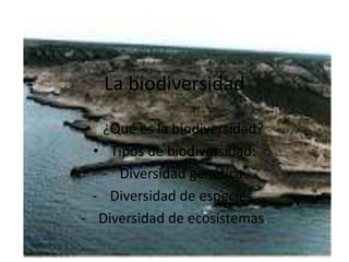 La biodiversidad

 • ¿Qué es la biodiversidad?
  • Tipos de biodiversidad:
   - Diversidad genética.
  - Diversidad de especies.
- Diversidad de ecosistemas.
 