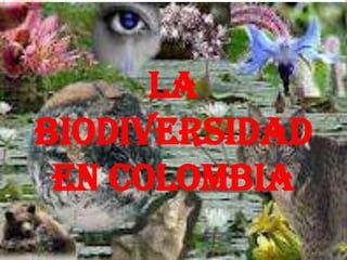 LA
BIODIVERSIDAD
 EN COLOMBIA
 