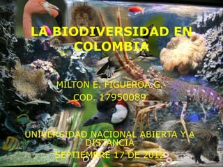 LA BIODIVERSIDAD EN
       COLOMBIA

     MILTON E. FIGUEROA G.
        COD. 17950089



UNIVERSIDAD NACIONAL ABIERTA Y A
           DISTANCIA
     SEPTIEMBRE 17 DE 2012
 
