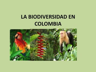 La biodiversidad en colombia