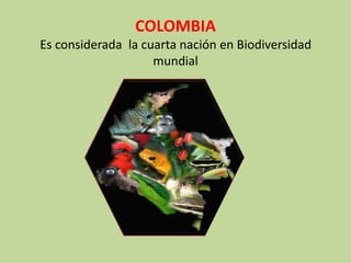 La biodiversidad en colombia