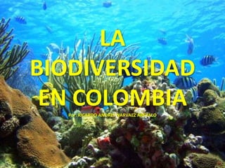 LA
BIODIVERSIDAD
 EN COLOMBIA
   Por: RICARDO ANDRES NARVAEZ AREVALO
 