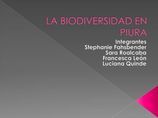LA BIODIVERSIDAD EN PIURA Integrantes Stephanie Fahsbender Sara Roalcaba Francesca León Luciana Quinde 