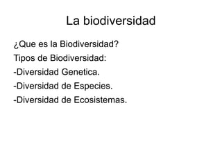 La biodiversidad ,[object Object]