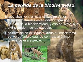 La perdida de la biodiversidad

El uso abusivo y la mala utilización de los
  recursos naturales están dando lugar a la
  perdida de la biodiversidad, y eso equivale a la
  extinción de muchas especies.
                    4
Una especie se extingue cuando su ecosistema
 se ve dañado y cuando se mata al último
 animal de esa especie.
 