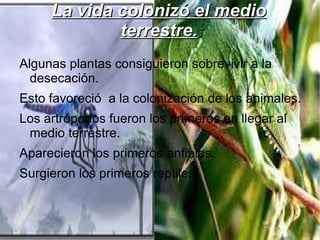 La vida colonizó el medio
             terrestre.
Algunas plantas consiguieron sobrevivir a la
  desecación.
Esto favoreció a la colonización de los animales.
Los artrópodos fueron los primeros en llegar al
 medio terrestre.
Aparecieron los primeros anfibios.
Surgieron los primeros reptiles.
 