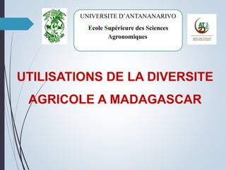 UTILISATIONS DE LA DIVERSITE
AGRICOLE A MADAGASCAR
UNIVERSITE D’ANTANANARIVO
Ecole Supérieure des Sciences
Agronomiques
 