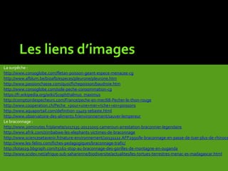 Les liens d’images
La surpêche :
http://www.consoglobe.com/fletan-poisson-geant-espece-menacee-cg
http://www.afblum.be/bioafb/especes/pleurone/pleurone.htm
http://www.passionchasse.com/quoi/fichepoisson/baudroie.htm
http://www.consoglobe.com/sole-peche-consommation-cg
https://fr.wikipedia.org/wiki/Scophthalmus_maximus
http://comptoirdespecheurs.com/France/peche-en-mer/68-Pecher-le-thon-rouge
http://www.cooperation.ch/Peche_+pour+une+mer+riche++en+poissons
http://www.aquaportail.com/definition-13403-sebaste.html
http://www.observatoire-des-aliments.fr/environnement/sauver-lempereur
Le braconnage :
http://www.20minutes.fr/planete/1017135-20121005-cameroun-arrestation-braconnier-legendaire
http://www.afrik.com/zimbabwe-les-elephants-victimes-de-braconnage
http://www.sciencesetavenir.fr/nature-environnement/20131122.AFP2950/le-braconnage-en-passe-de-tuer-plus-de-rhinoce
http://www.les-felins.com/fiches-pedagogiques/braconnage-trafic/
http://lota029.bbgraph.com/t5162-stop-au-braconnage-des-gorilles-de-montagne-en-ouganda
http://www.scidev.net/afrique-sub-saharienne/biodiversite/actualites/les-tortues-terrestres-menac-es-madagascar.html
 