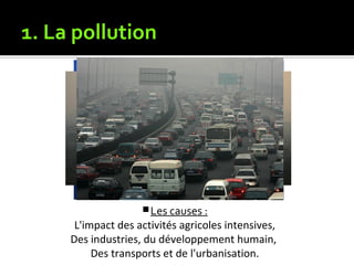 1. La pollution
Les causes :
L'impact des activités agricoles intensives,
Des industries, du développement humain,
Des transports et de l'urbanisation.
 