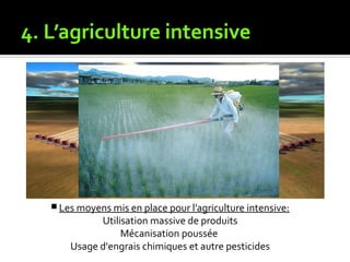 4. L’agriculture intensive
 Les moyens mis en place pour l’agriculture intensive:
Utilisation massive de produits
Mécanisation poussée
Usage d'engrais chimiques et autre pesticides
 