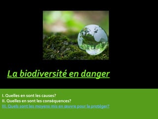 La biodiversité en danger
I. Quelles en sont les causes?
II. Quelles en sont les conséquences?
III. Quels sont les moyens mis en œuvre pour la protéger?
 