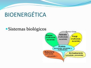 BIOENERGÉTICA
Sistemas biológicos Seres vivos
 