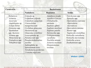 La bioindicación como una herramienta de gestión en la ed ar iii ...