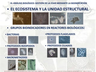 La bioindicación como una herramienta de gestión en la ed ar iii ...