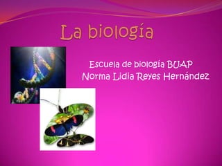 La biología Escuela de biología BUAP Norma Lidia Reyes Hernández 