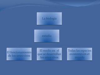 La biología

estudia

El funcionamiento
de los seres vivos

El medio en el
que se desarrollan
los seres vivos

Todas las especies
existentes en el
mundo

 