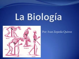 La Biología Por: Ivan Zepeda Quiroz 