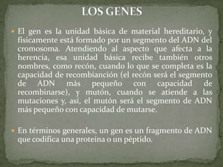 El gen es la unidad básica de material hereditario, y físicamente está formado por un segmento del ADN del cromosoma. Atendiendo al aspecto que afecta a la herencia, esa unidad básica recibe también otros nombres, como recón, cuando lo que se completa es la capacidad de recombianción (el recón será el segmento de ADN más pequeño con capacidad de recombinarse), y mutón, cuando se atiende a las mutaciones y, así, el mutón será el segmento de ADN más pequeño con capacidad de mutarse.En términos generales, un gen es un fragmento de ADN que codifica una proteína o un péptido.LOS GENES