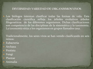 Los biólogos intentan clasificar todas las formas de vida. Esta clasificación científica refleja los árboles evolutivos árboles filogenéticos  de los diferentes organismos. Dichas clasificaciones son competencia de las disciplinas de la sistemática y la taxonomía. La taxonomía sitúa a los organismos en grupos llamados taxa.    Tradicionalmente, los seres vivos se han venido clasificando en seis reinos:EubacteriaArchaeaProtistaFungiPlantaeAnimaliaDIVERSIDAD: VARIEDAD DE ORGANISMOS VIVOS