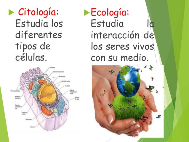 La biología