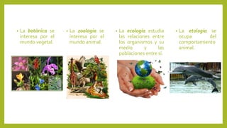 • La ecología estudia
las relaciones entre
los organismos y su
medio y las
poblaciones entre sí.
• La zoología se
interesa por el
mundo animal.
• La botánica se
interesa por el
mundo vegetal.
• La etología se
ocupa del
comportamiento
animal.
 