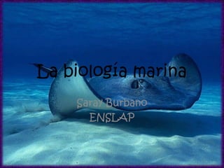 La biología marina
    Saray Burbano
      ENSLAP
 